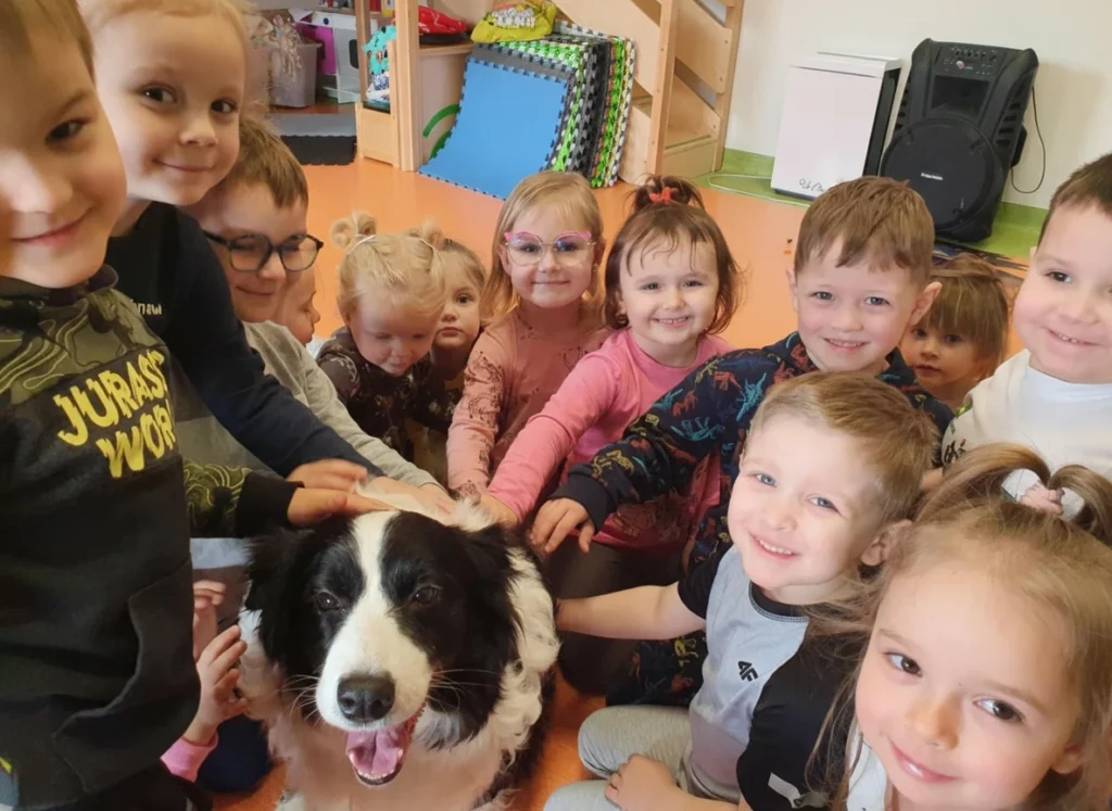 border gold dogoterapia daczego warto wybrac dogoterapie