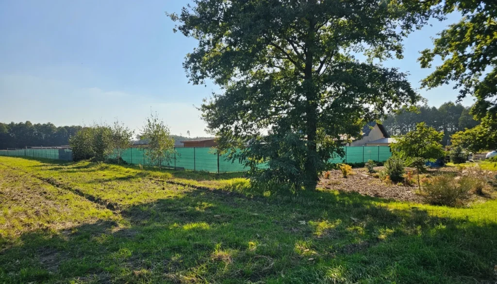 hotel dla psow bordergold slask i lodzkie siedlisko 1