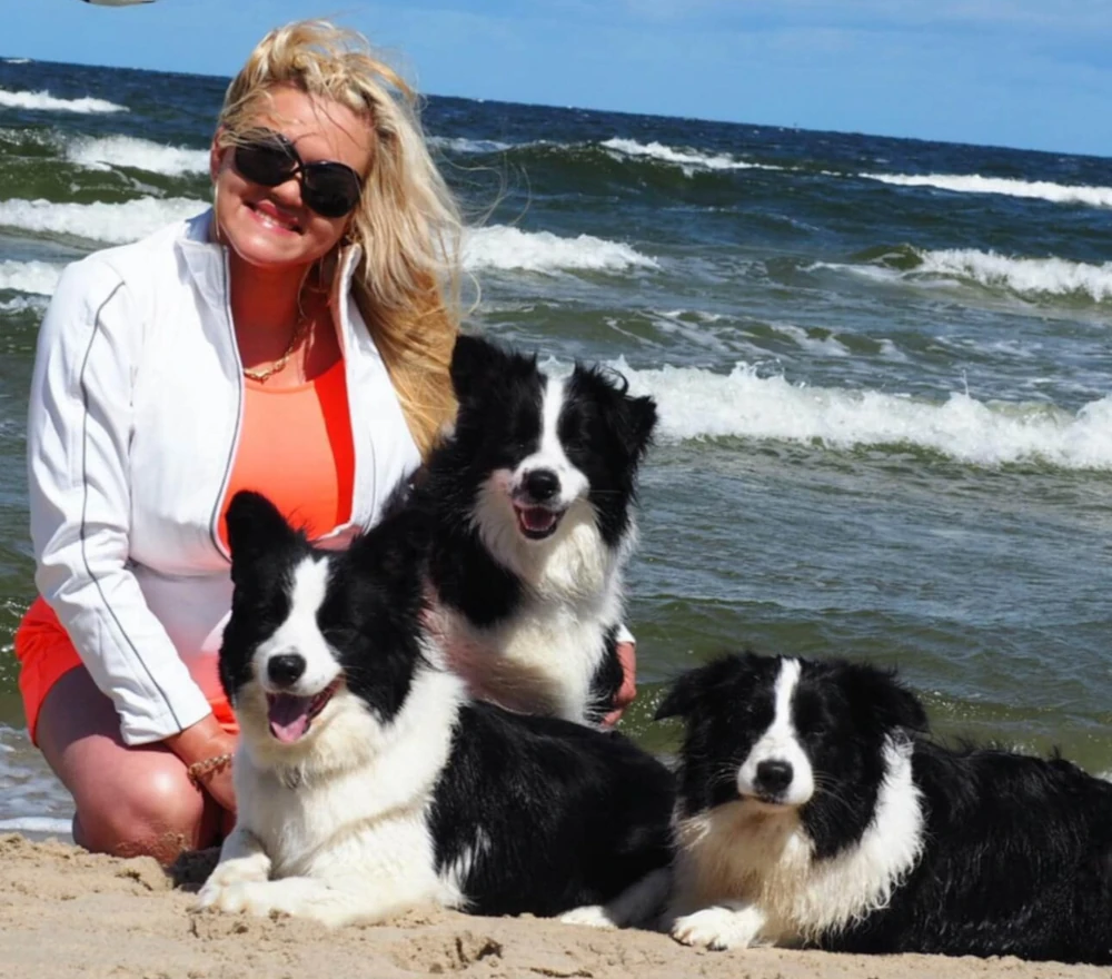Hodowla Border Collie